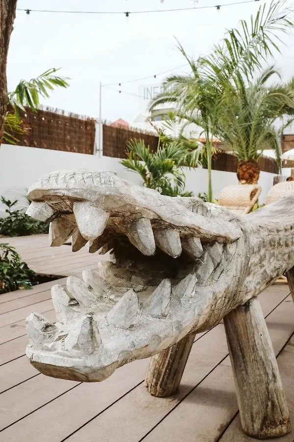 Ostello Dreamsea Surf House Fuerteventura Corralejo